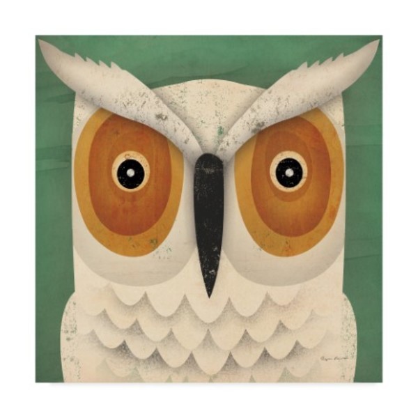 Trademark Fine Art Ryan Fowler 'White Owl' Canvas Art, 14x14 WAP06283-C1414GG